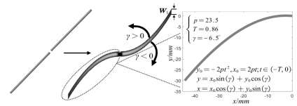 图 2. 曲线偶极子的演化及具体参数