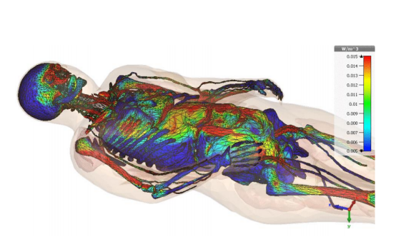cst电磁仿真软件在生物电磁方面的帮助
